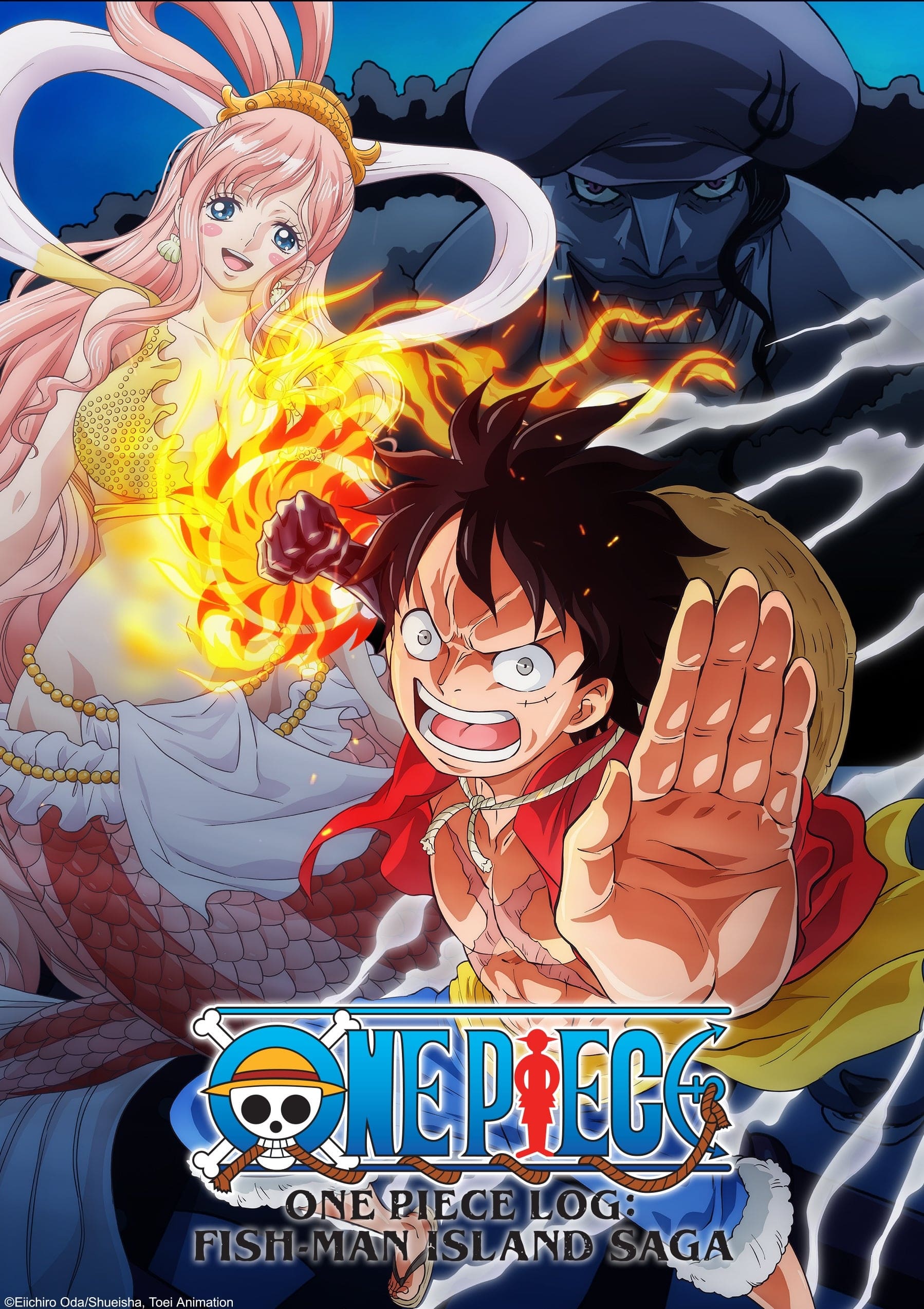 Affiche de l'anime One Piece