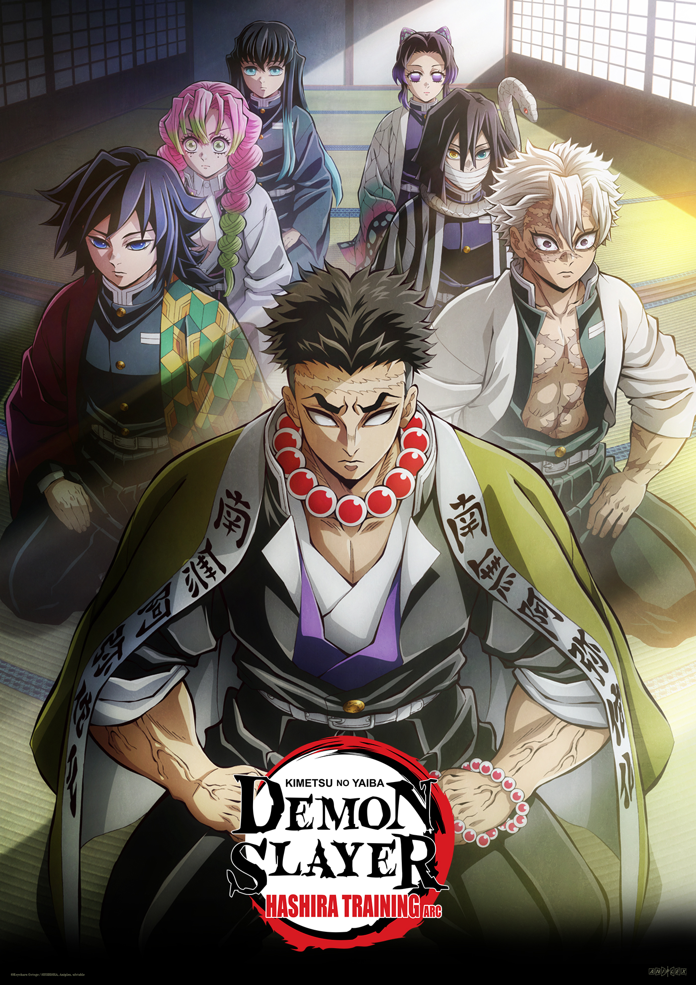 Affiche de l'anime Demon Slayer