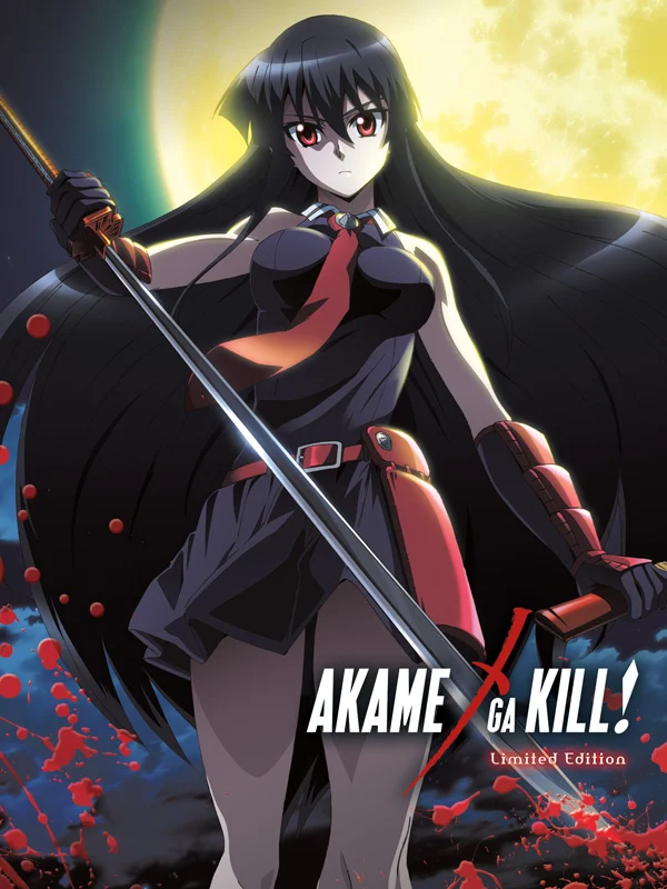 Affiche de l'anime Akame Ga Kill